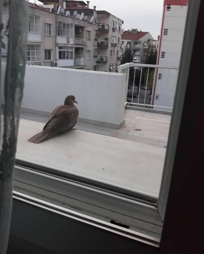 Zübeyde Hanım Homes İzmir Dış mekan fotoğraf